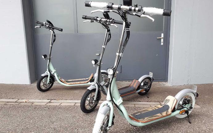 E-Scooter Nito N1e, mit Straßenzulassung, grün-schwarz